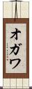 オガワ Scroll
