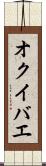 オクイバエ Scroll
