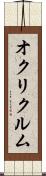 オクリクルム Scroll