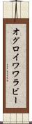 オグロイワワラビー Scroll