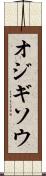 オジギソウ Scroll