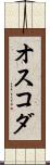 オスコダ Scroll