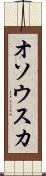 オソウスカ Scroll
