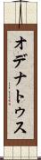 オデナトゥス Scroll