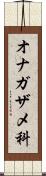 オナガザメ科 Scroll