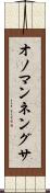 オノマンネングサ Scroll