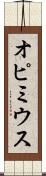 オピミウス Scroll
