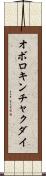 オボロキンチャクダイ Scroll