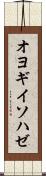 オヨギイソハゼ Scroll