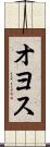 オヨス Scroll