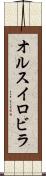 オルスイロビラ Scroll