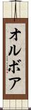 オルボア Scroll