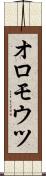 オロモウツ Scroll