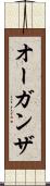 オーガンザ Scroll