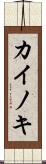 カイノキ Scroll