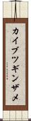 カイブツギンザメ Scroll