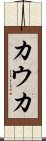 カウカ Scroll