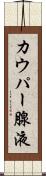 カウパー腺液 Scroll