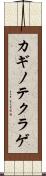 カギノテクラゲ Scroll