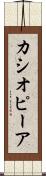 カシオピーア Scroll