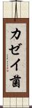 カゼイ菌 Scroll