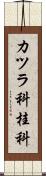 カツラ科 Scroll