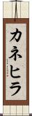 カネヒラ Scroll