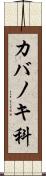 カバノキ科 Scroll