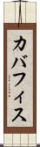 カバフィス Scroll