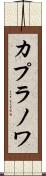 カプラノワ Scroll