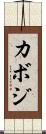 カボジ Scroll