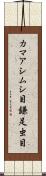 カマアシムシ目 Scroll