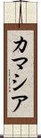 カマシア Scroll