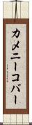 カメニーコバー Scroll