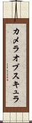 カメラオブスキュラ Scroll