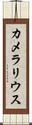 カメラリウス Scroll