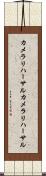 カメラリハーサル Scroll