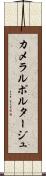 カメラルポルタージュ Scroll