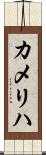 カメリハ Scroll