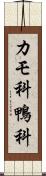 カモ科 Scroll