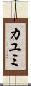 Kayumi Scroll