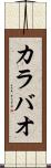 カラバオ Scroll