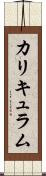 カリキュラム Scroll