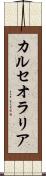カルセオラリア Scroll