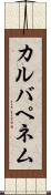 カルバペネム Scroll