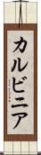 カルビニア Scroll