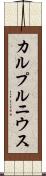 カルプルニウス Scroll
