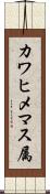 カワヒメマス属 Scroll