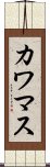 カワマス Scroll