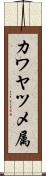 カワヤツメ属 Scroll
